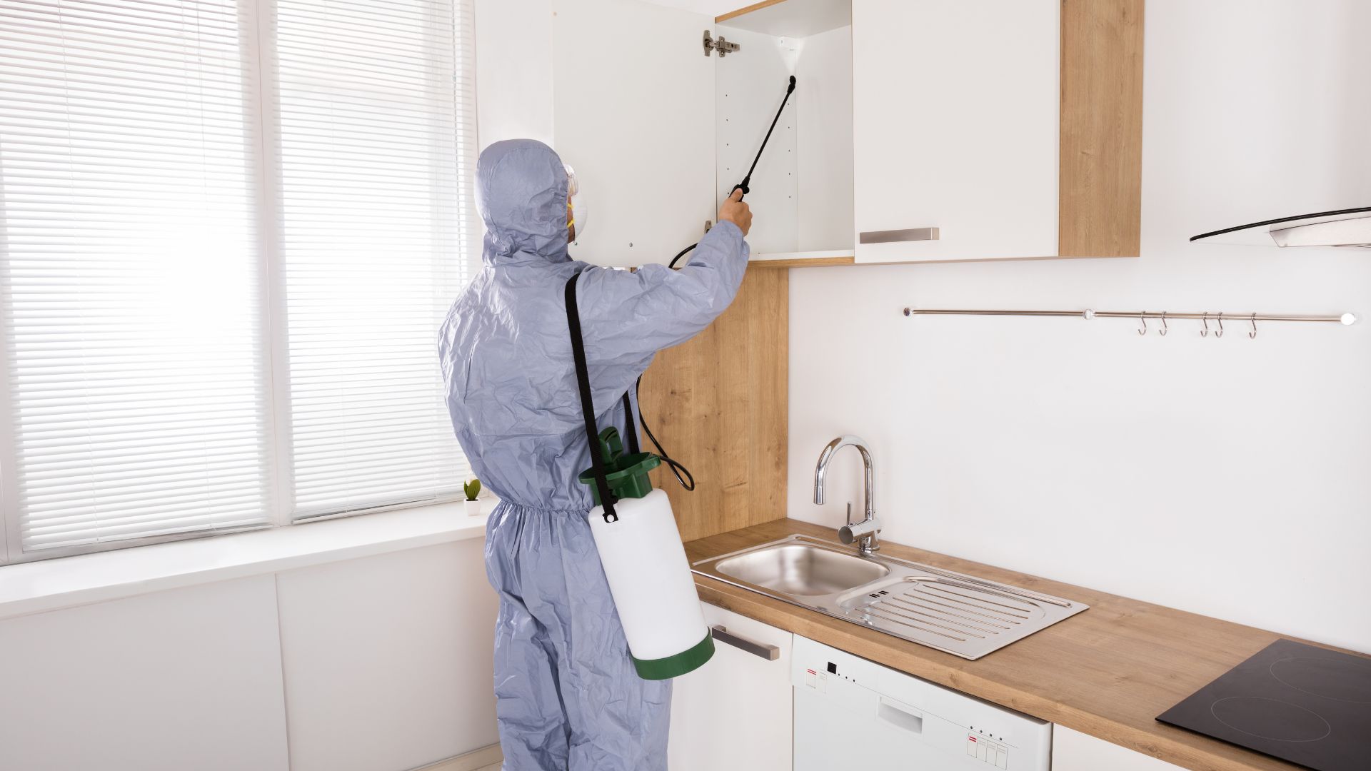 Residential Pest Control