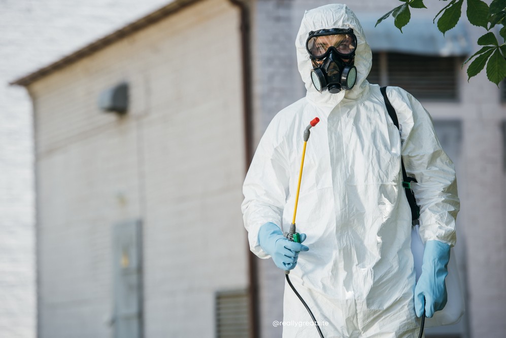 Comprehensive Commercial Pest Control Services