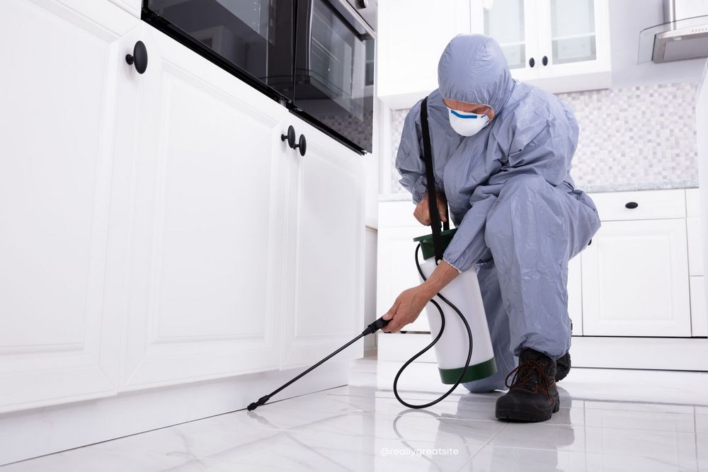 Comprehensive Pest Control Services for Your Home