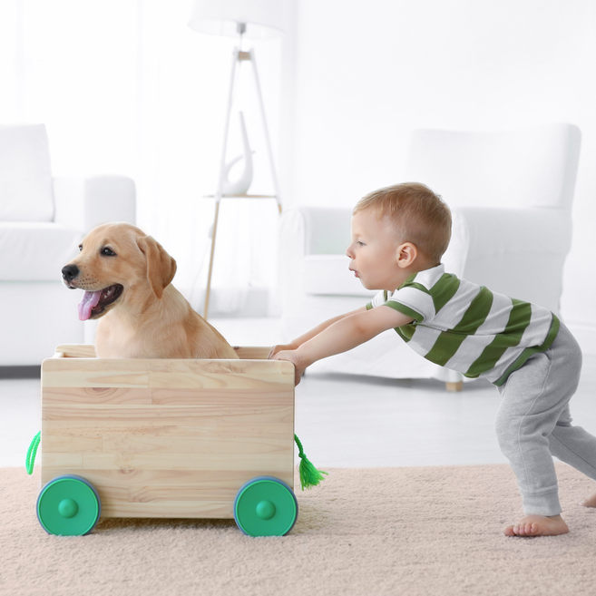 Safe, eco-friendly pest control solutions